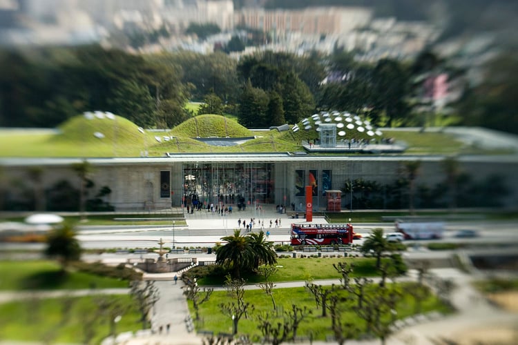 California-Academy-of-Sciences4