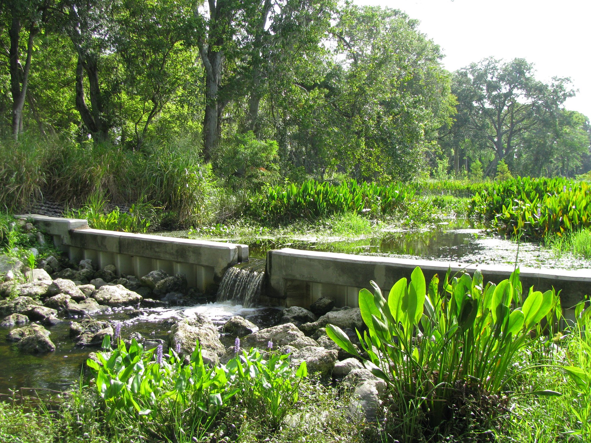 Lake Suemar Stormwater Improvement Project - August Pete Bottone (replacing photo)