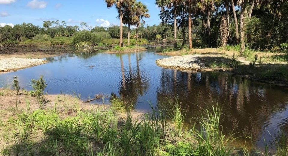 Aligator-Creek-959x521