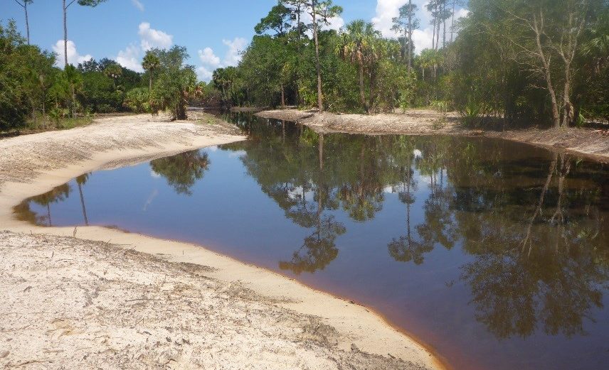 Alligator-Creek2-856x521