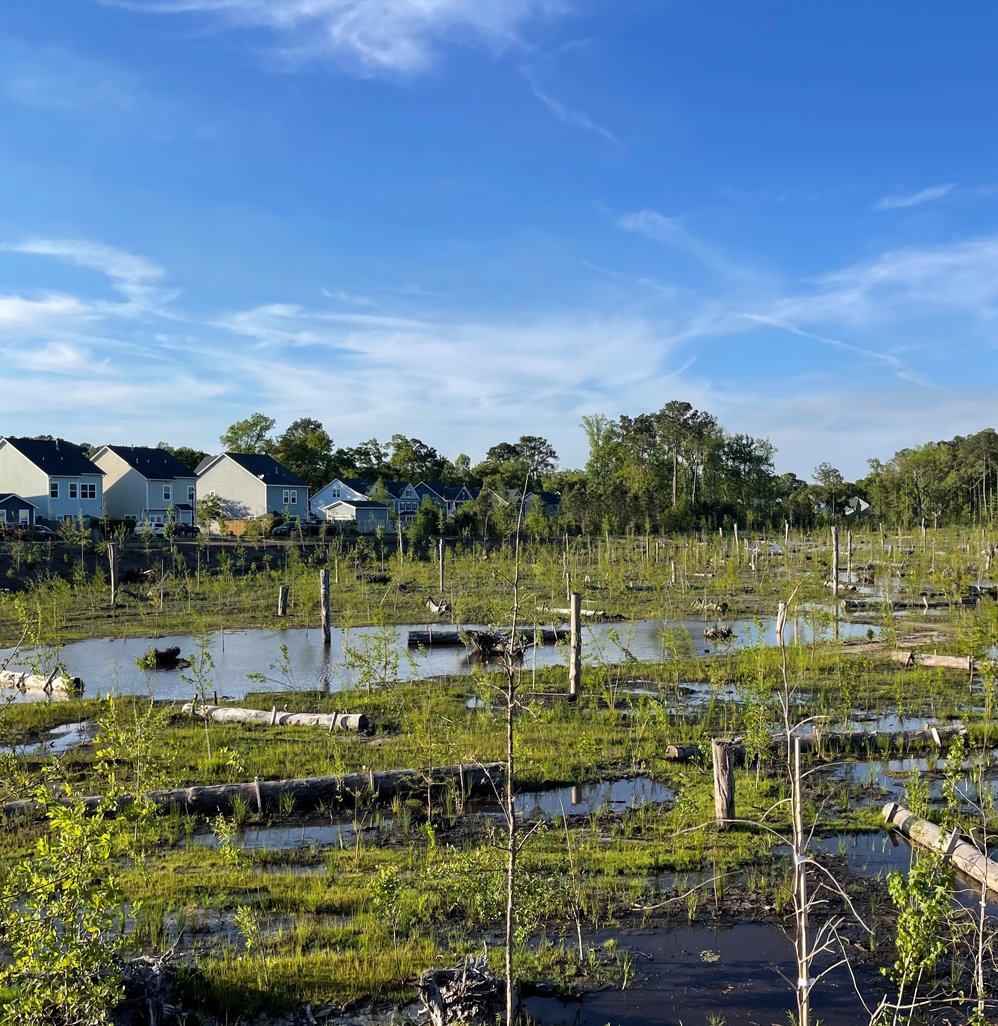 Water Resources_Watershed_Barberry