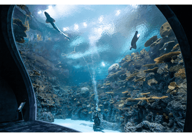 Seattle Aquarium Ocean Pavilion