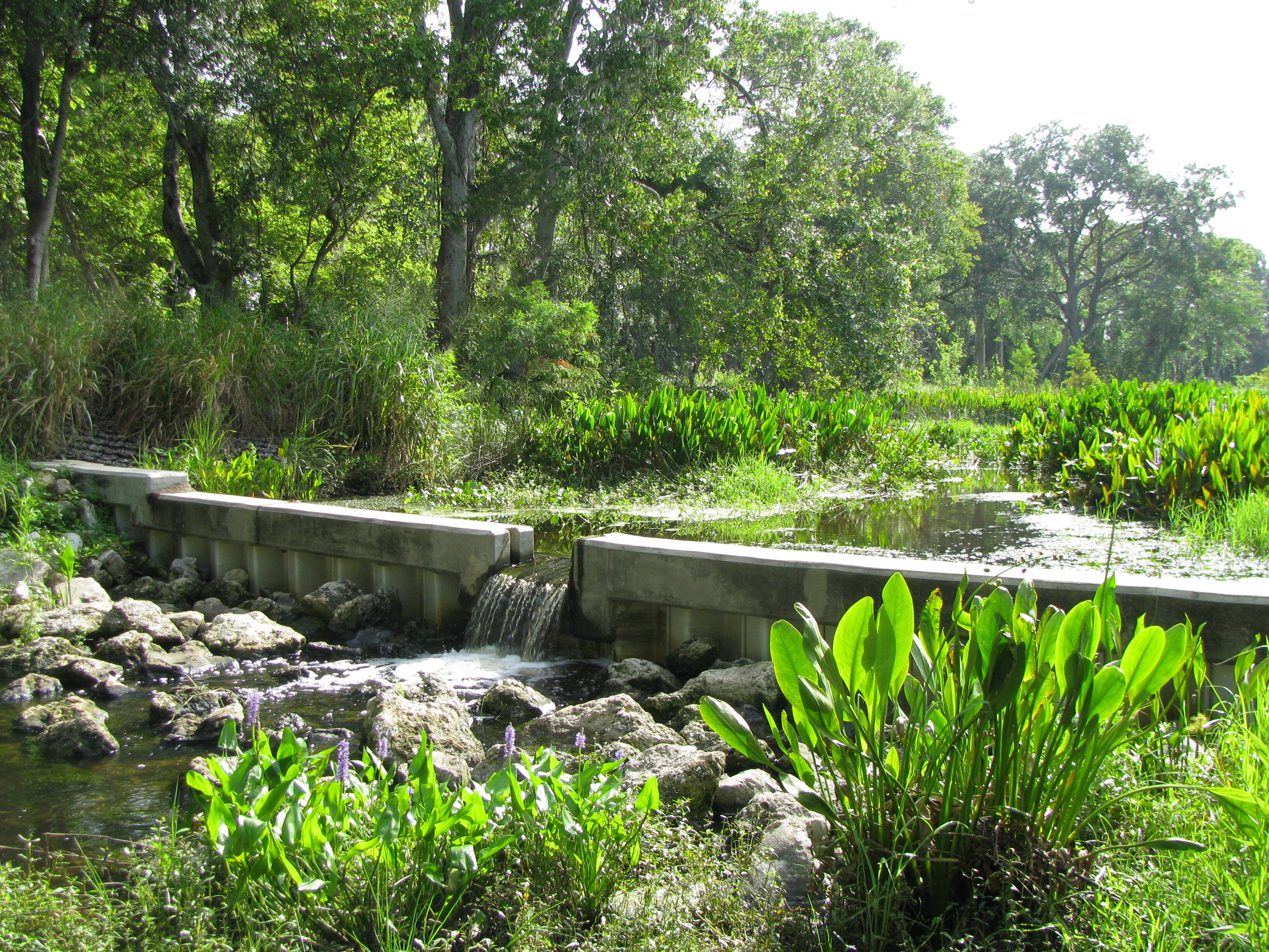 Lake Suemar Stormwater Improvement Project - August Pete Bottone (replacing photo)