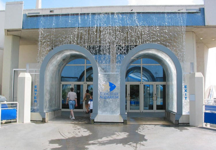 TexasStateAquarium-750x521