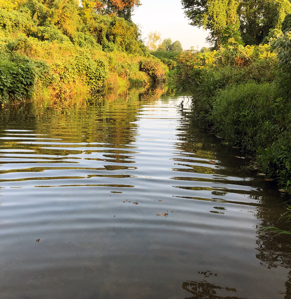 Water Resources_Stream1