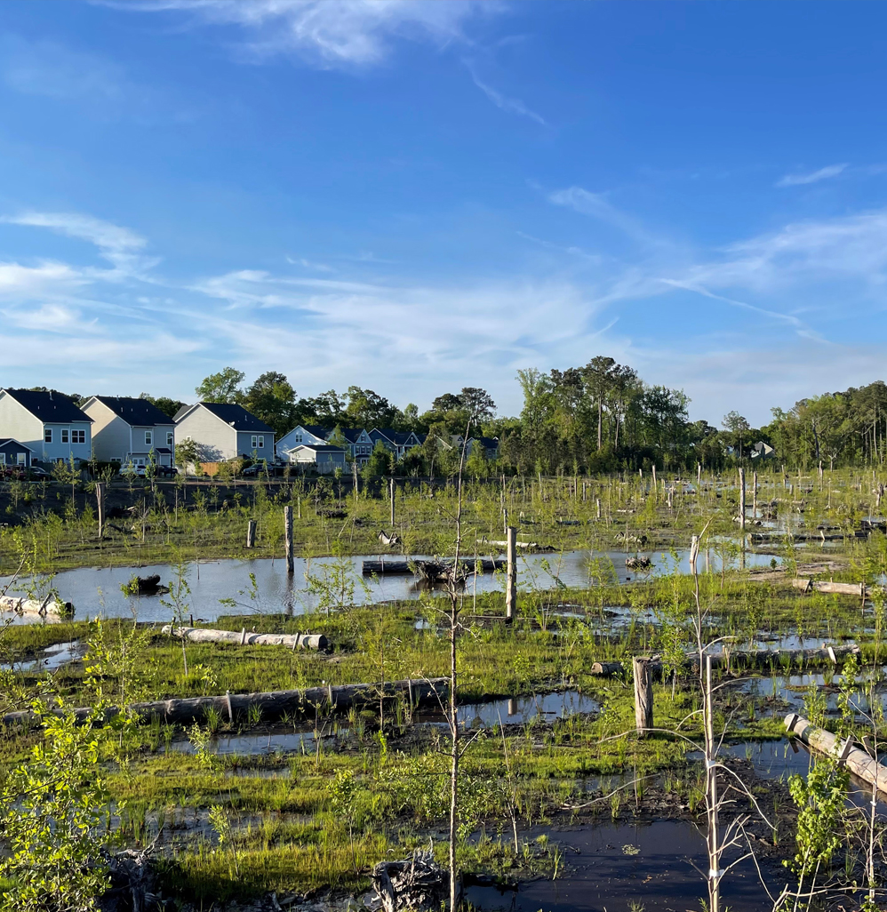 Water Resources_Watershed_Barberry